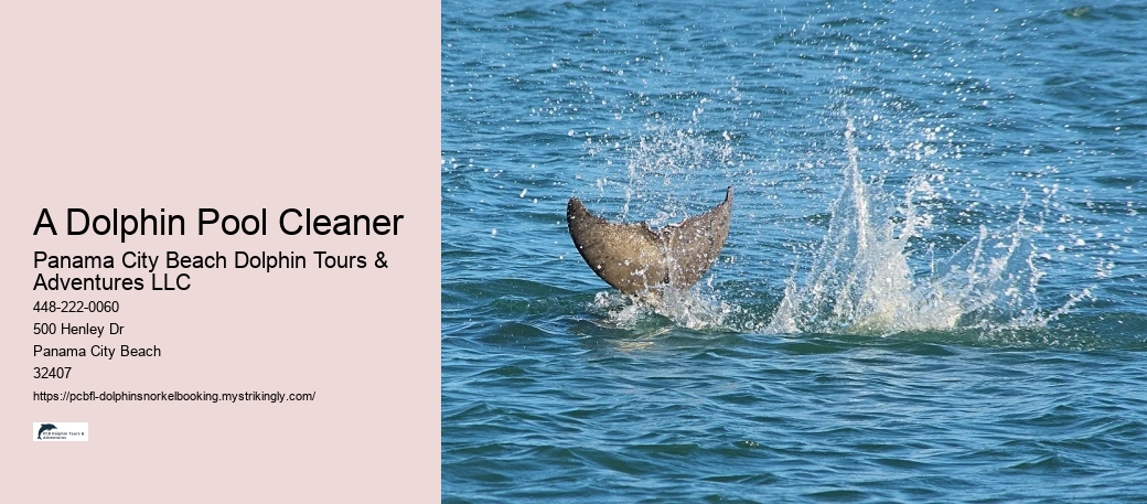 A Dolphin Pool Cleaner