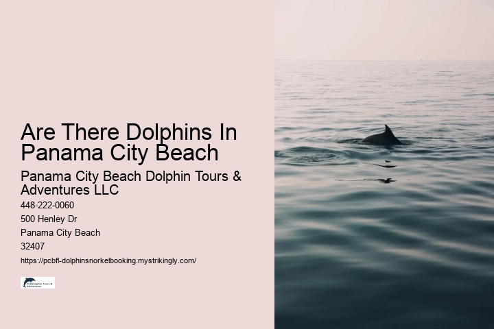 Are There Dolphins In Panama City Beach