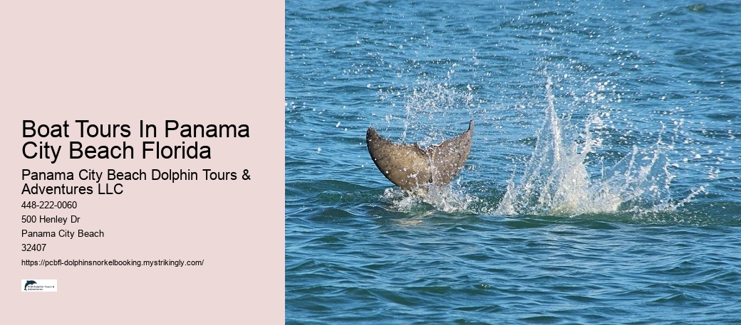 Boat Tours In Panama City Beach Florida