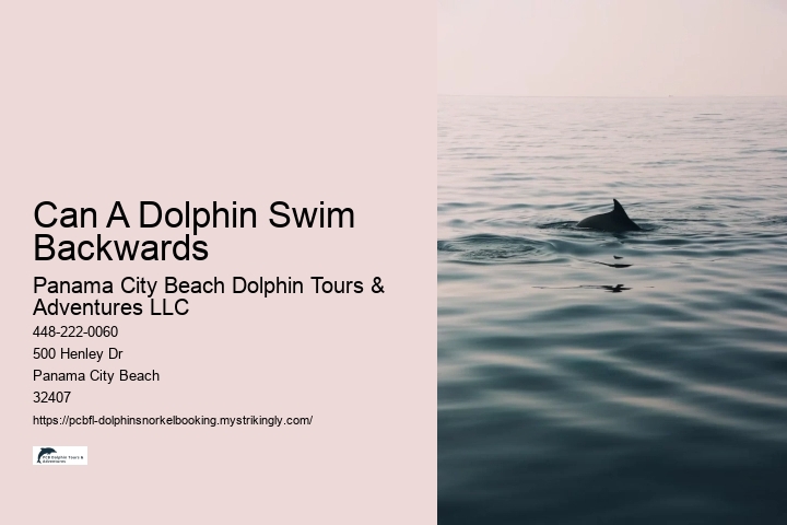 Can A Dolphin Swim Backwards