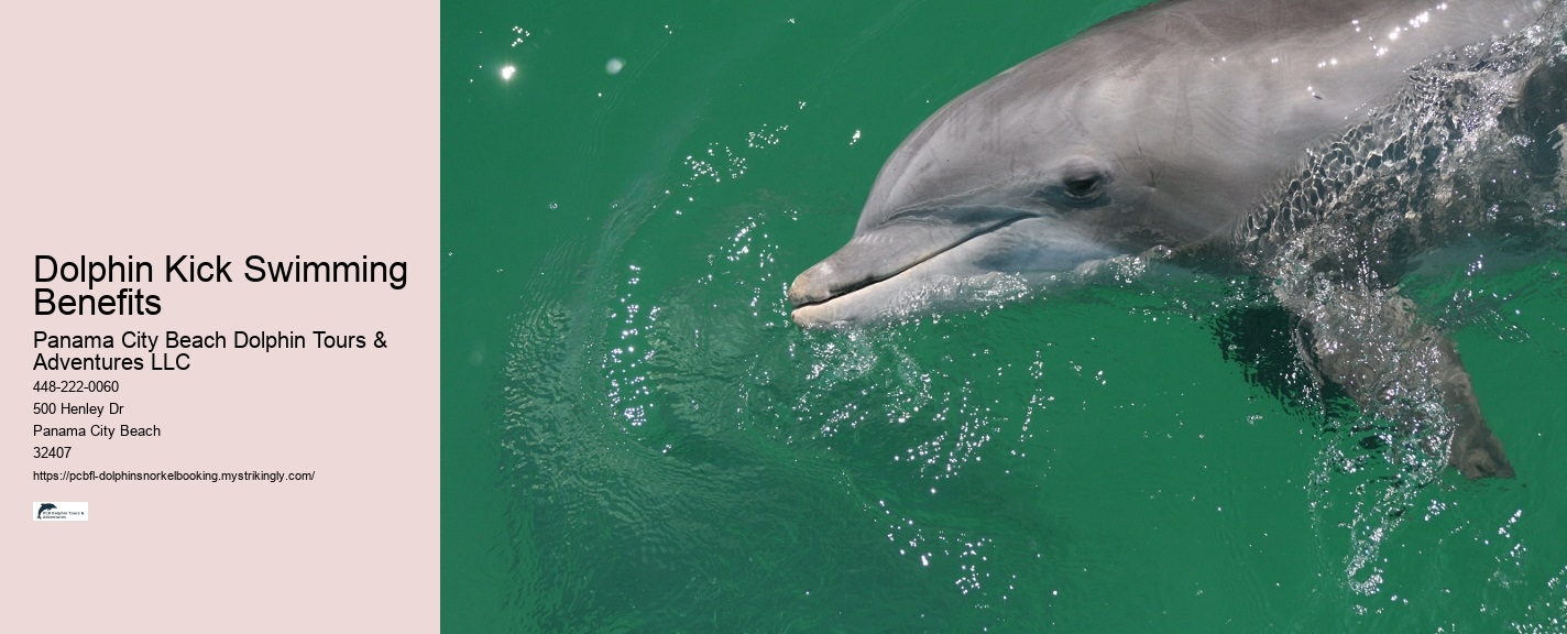 What Level Is Dolphin In Swimming