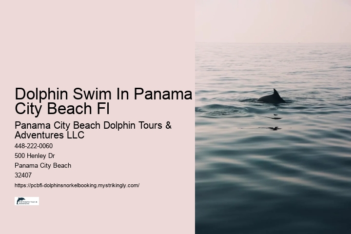 Dolphin Swim In Panama City Beach Fl