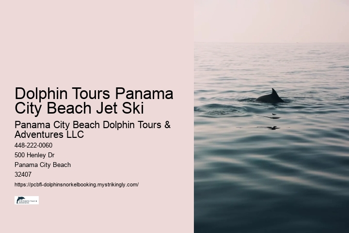 Dolphin Tours Panama City Beach Jet Ski