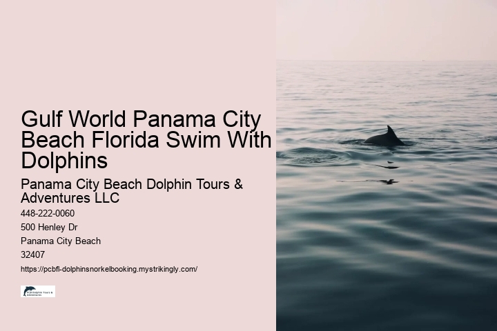 Gulf World Panama City Beach Florida Swim With Dolphins