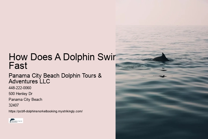 How Does A Dolphin Swim Fast