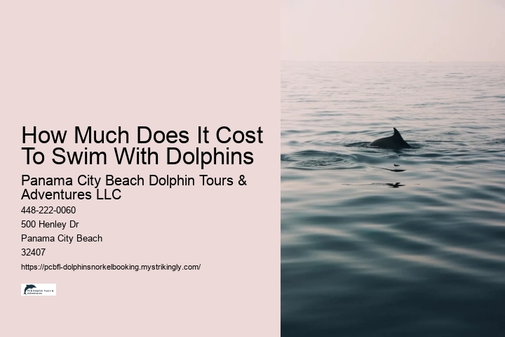 How Much Does It Cost To Swim With Dolphins