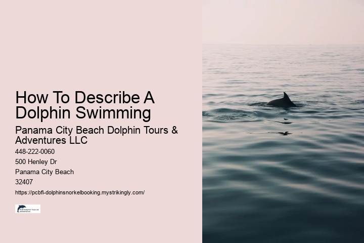 How To Describe A Dolphin Swimming
