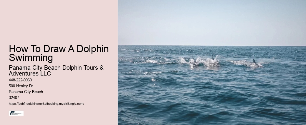 How To Draw A Dolphin Swimming