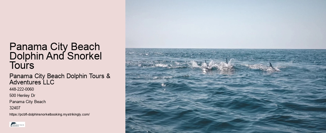 Panama City Beach Dolphin And Snorkel Tours