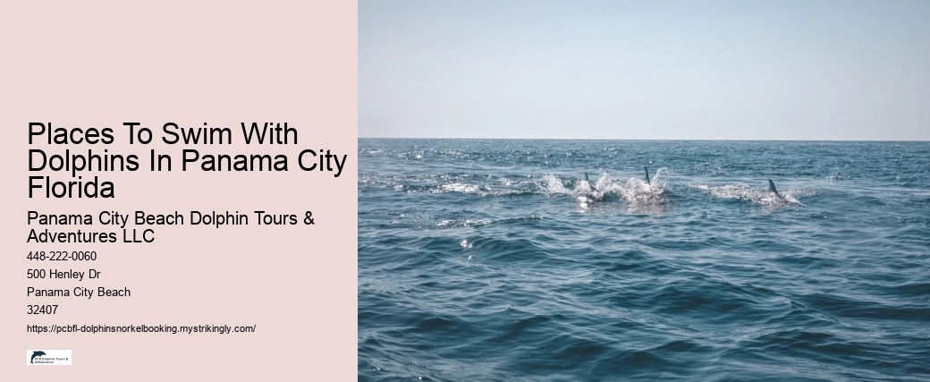 Places To Swim With Dolphins In Panama City Florida
