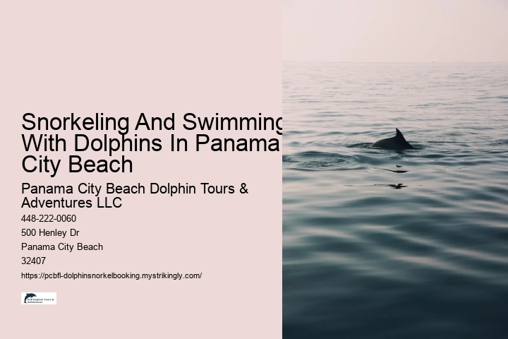 Snorkeling And Swimming With Dolphins In Panama City Beach
