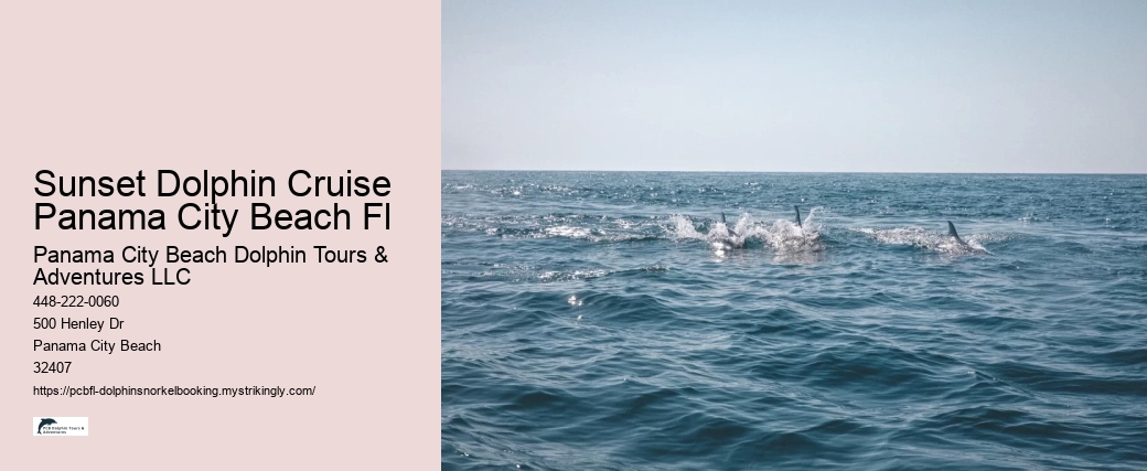 Sunset Dolphin Cruise Panama City Beach Fl