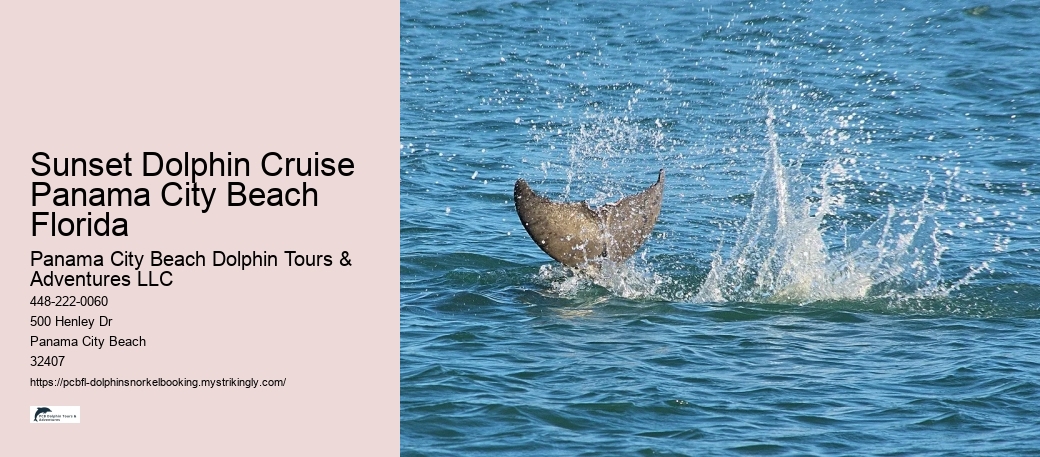 Sunset Dolphin Cruise Panama City Beach Florida