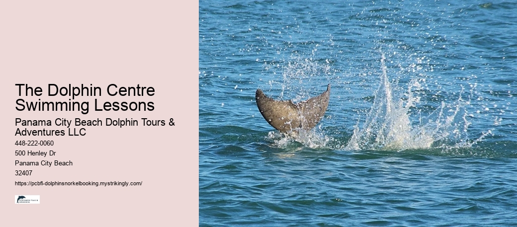 The Dolphin Centre Swimming Lessons