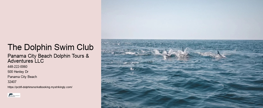 The Dolphin Swim Club