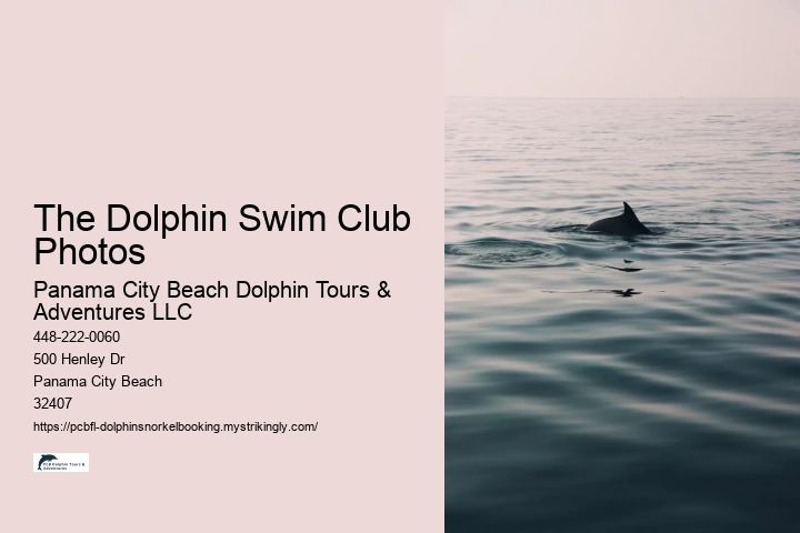 The Dolphin Swim Club Photos