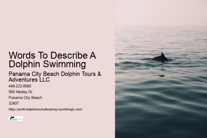 Words To Describe A Dolphin Swimming